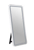 Katlyn Floor Mirror