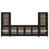 Denison Entertainment Center
