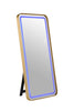 Katlyn Floor Mirror