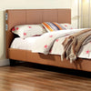 Evans E.King & Cal.King Bed Espressso, White, & Camel