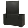 Leandro Dresser with Mirror