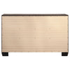 Kauffman Dresser