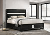 Miranda California King, E.King, Queen, Full, & Twin Bed Black & White