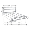 Miranda Panel Platform Storage Bed
