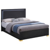 Marceline Beds 5