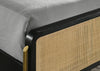 Arini Eastern King & Twin Bed