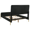 Arini Eastern King & Twin Bed
