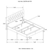Kendall Panel Bed E.King, & Queen Black & White
