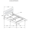 Kendall Panel Bed E.King, & Queen Black & White
