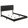 Kendall Panel Bed