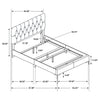 Kendall Panel Bed Black
