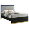 Caraway Queen Bed