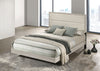 Trenton Beds