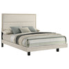 Trenton Beds
