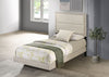 Trenton Beds