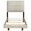 Trenton Beds