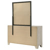 Trenton Dresser with Mirror