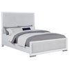 Gracemont Panel Bed