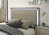 Rainier Queen Bedroom Set Gray