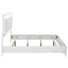 Cassia Panel Bed with LED Lighting