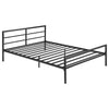 Fisher Beds