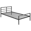 Fisher Beds