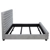 Patricia Beds