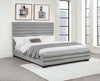 Patricia Beds