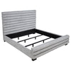Patricia Beds