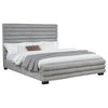 Patricia Beds