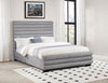 Patricia Beds