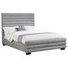 Patricia Beds