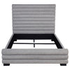 Patricia Beds