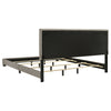 Dorian Panel Bed