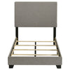 Dorian Beds 5