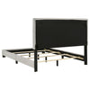 Dorian Panel Bed