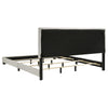 Dorian Panel Bed