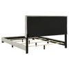 Dorian Panel Bed