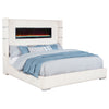 Tisdall Beds