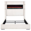 Tisdall Beds
