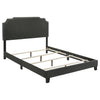 Tamarac Upholstered Nailhead Full, Eastern King & Queen Bed Beige & Grey