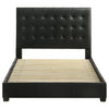 Medley Panel Platform Bed