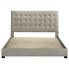 Medley Panel Platform Bed