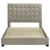Medley Panel Platform Bed