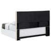 Pirro Queen Headboard