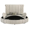 Sonya Queen Bed