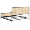 Lanewood Eastern King & Queen Bed Black & White