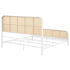 Lanewood Eastern King & Queen Bed Black & White