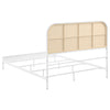 Amherst Eastern King, Queen, Full, & Twin Bed White & Black