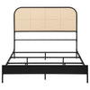 Amherst Eastern King, Queen, Full, & Twin Bed White & Black